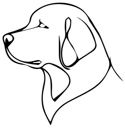 Winnie & Co Dog Grooming